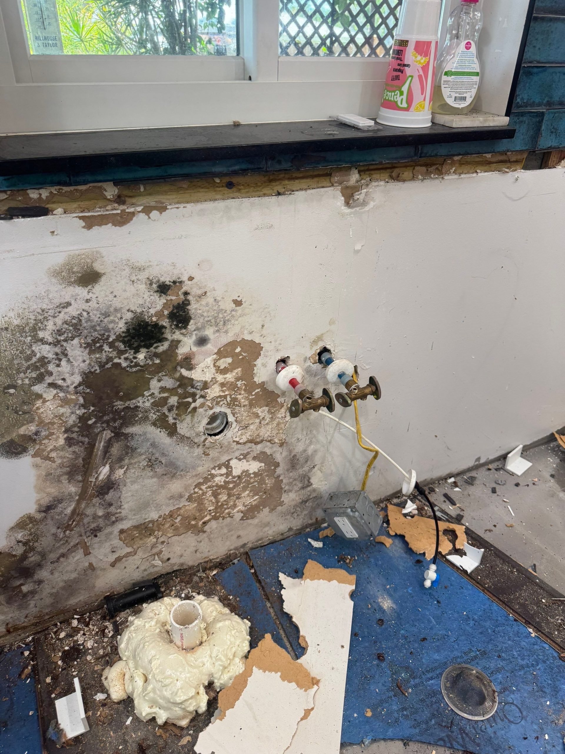 Severe water damage under a sink in a Lakewood Ranch home showing staining, deteriorated drywall, black mold growth, and moisture damage around plumbing lines.
